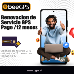 P Suscripción 12 MESES / Plan de suscripción 12 meses, cada mes $4.990.-